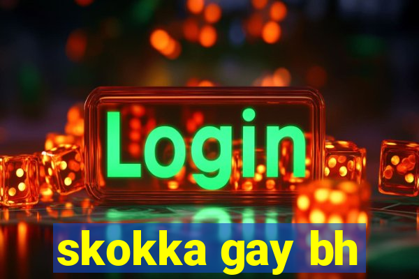 skokka gay bh